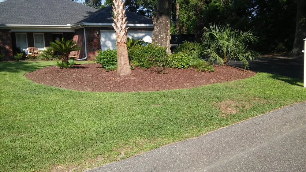 Local landscape design experts serving Little River, SC - M&M Lawn Care