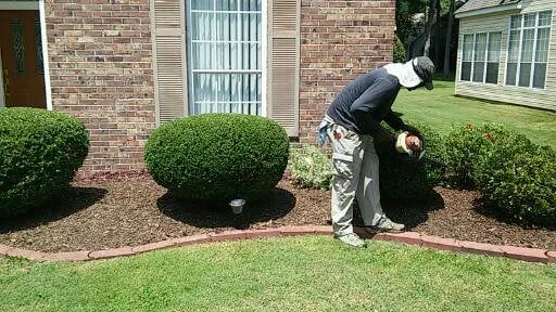 Professional yard cleanup service in Little River, SC by M&M Lawn Care