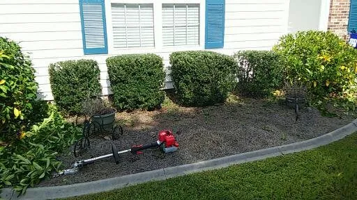 Local landscape design experts serving Little River, SC - M&M Lawn Care