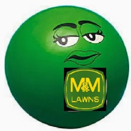 Trusted landscaping services for residential properties across Little River, SC - M&M Lawn Care