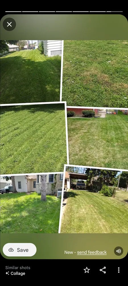 Reliable landscaping services experts serving Milwaukee, WI - M&M Lawn Care
