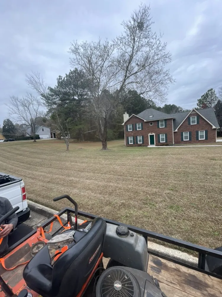 Professional outdoor landscaping in Palmetto, GA - MM Lawn Care