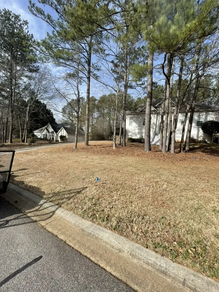 Professional lawn mowing service in Palmetto, GA by MM Lawn Care