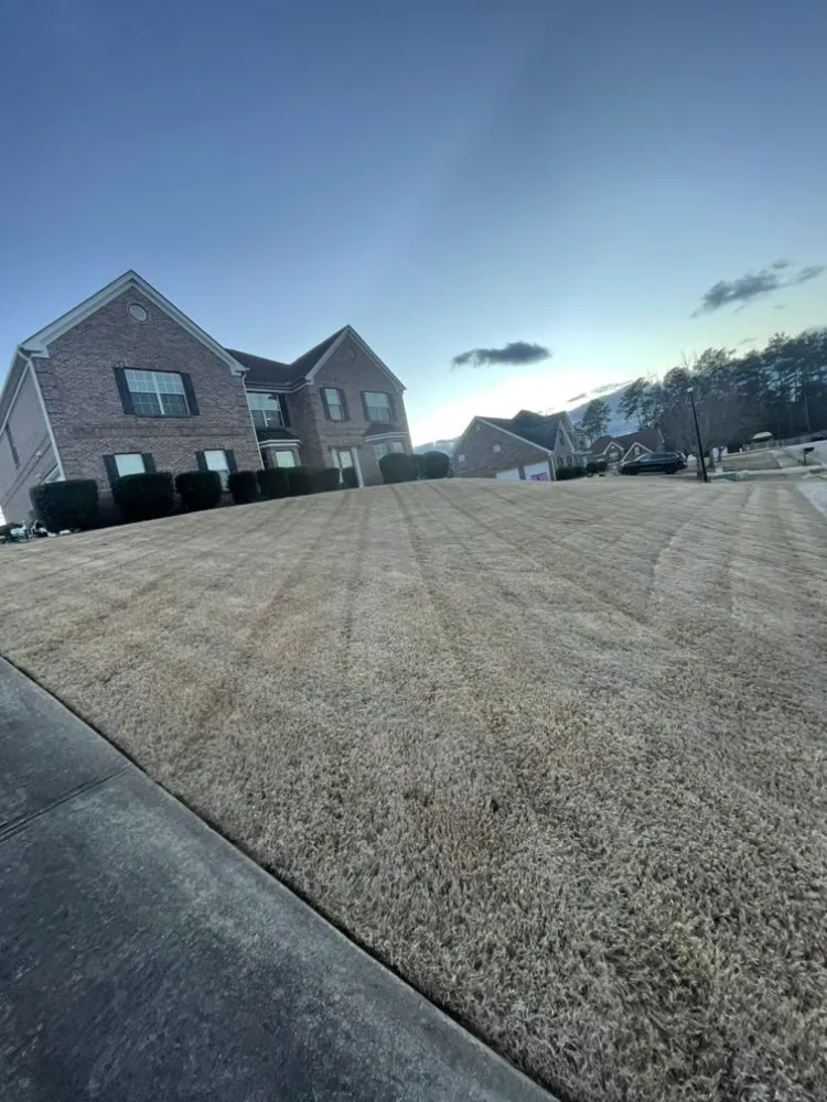 Affordable landscaping services experts serving Palmetto, GA - MM Lawn Care