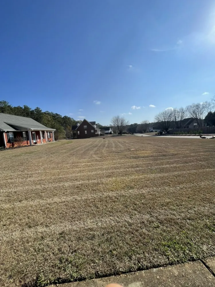 Local garden landscaping experts serving Palmetto, GA - MM Lawn Care