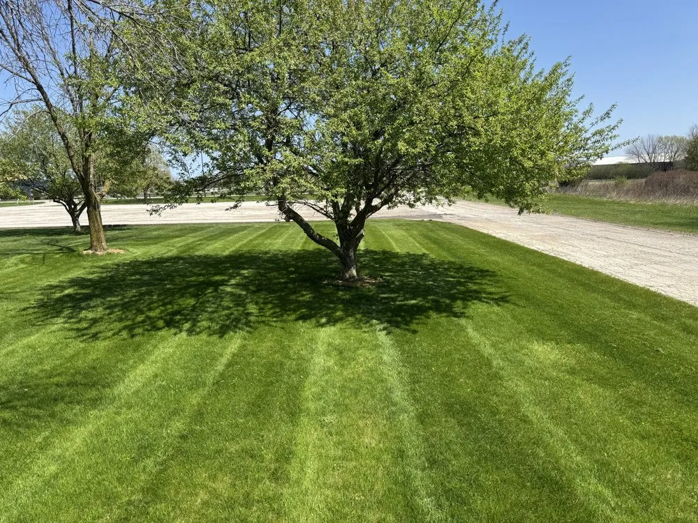 Professional yard cleanup service in Freedom, WI - M&M Lawn Care Services