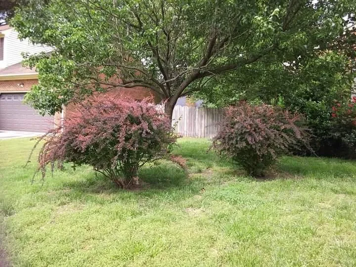 Custom landscape installation in Yorktown, VA - M&M Lawn Care Services