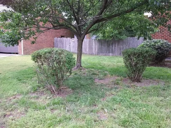 Custom lawn mowing service in Yorktown, VA by M&M Lawn Care Services