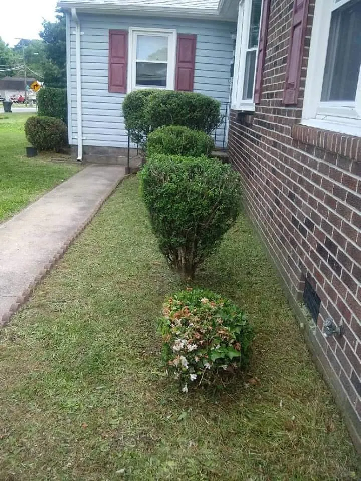 Top-rated yard maintenance near you in Yorktown, VA by M&M Lawn Care Services
