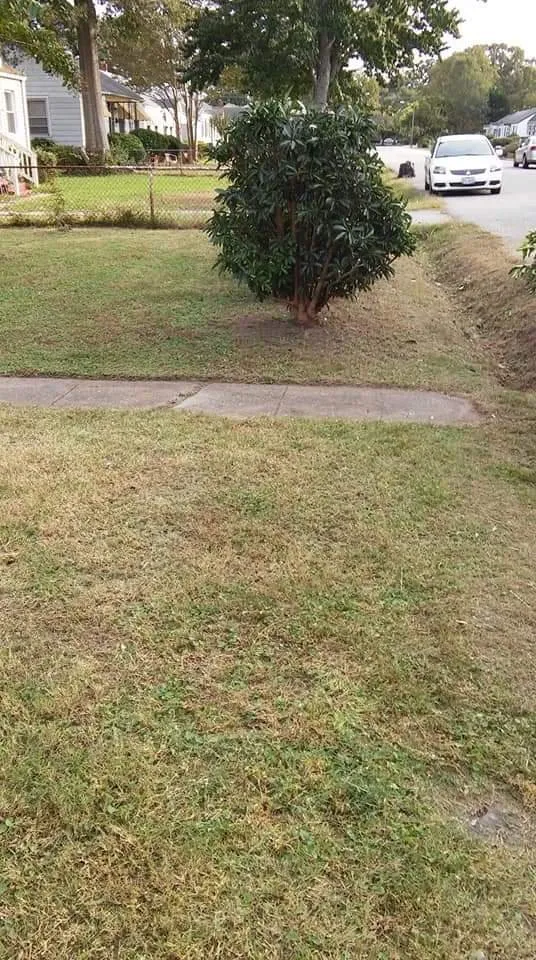 Top-rated outdoor landscaping in Yorktown, VA by M&M Lawn Care Services