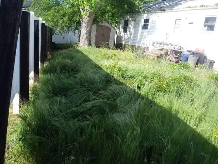 Professional yard cleanup service for year-round maintenance across Yorktown, VA - M&M Lawn Care Services