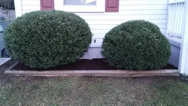 Expert outdoor landscaping experts serving Yorktown, VA - M&M Lawn Care Services
