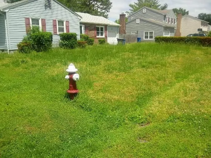 Local residential landscaping experts serving Yorktown, VA - M&M Lawn Care Services