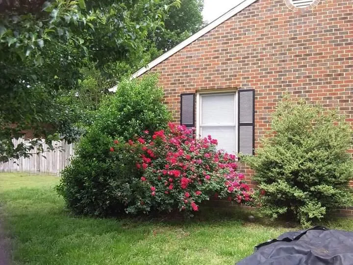 Local yard cleanup service for homes across Yorktown, VA - M&M Lawn Care Services