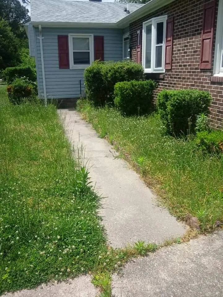 Affordable lawn care service for year-round maintenance across Yorktown, VA - M&M Lawn Care Services