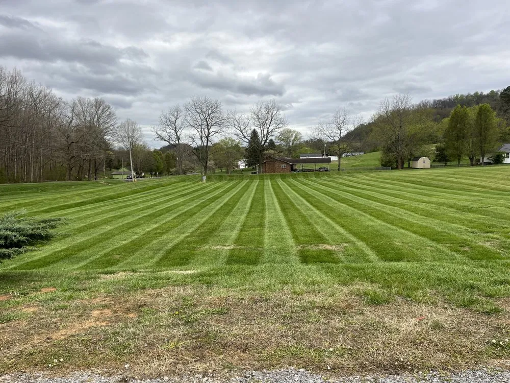 Local landscape design near you in Rogersville, TN by M&M Lawn Maintenance