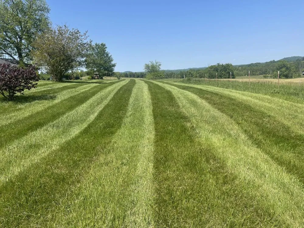 Trusted yard cleanup service in Rogersville, TN - M&M Lawn Maintenance