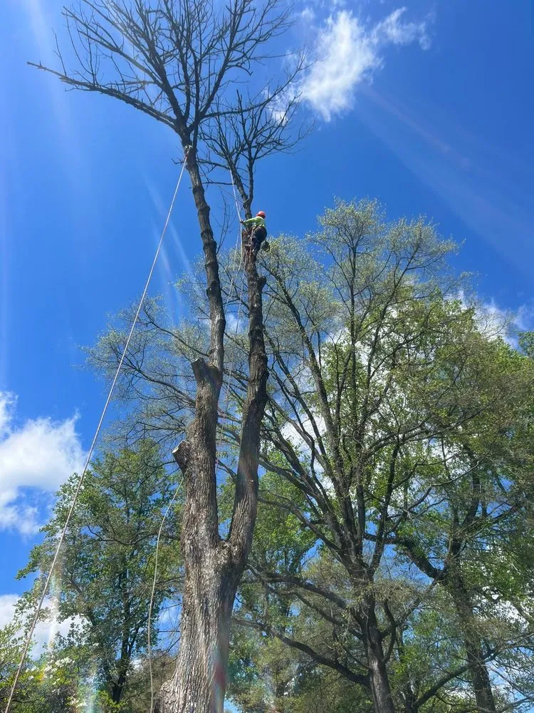 Custom landscaping services in Warminster, PA - MM Lawn Service and Landscaping