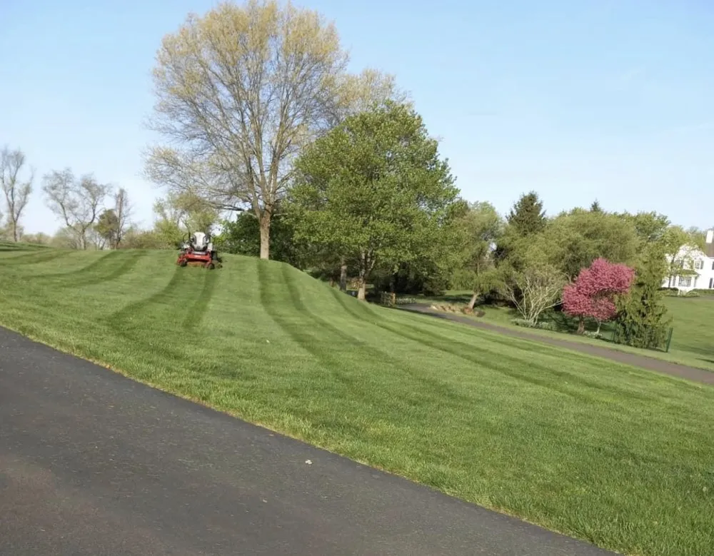 Reliable residential landscaping in Warminster, PA - MM Lawn Service and Landscaping