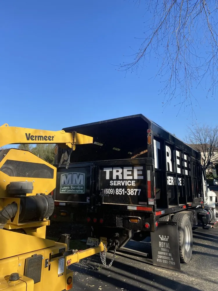 Custom yard cleanup service for beautiful yards across Warminster, PA - MM Lawn Service and Landscaping