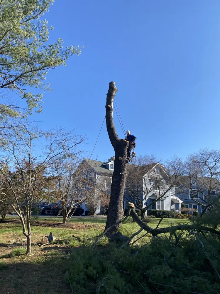 Top-rated lawn care service in Warminster, PA - MM Lawn Service and Landscaping