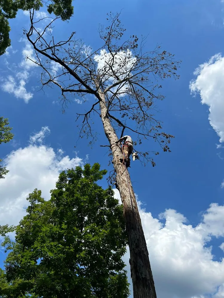 Top-rated residential landscaping in Warminster, PA - MM Lawn Service and Landscaping