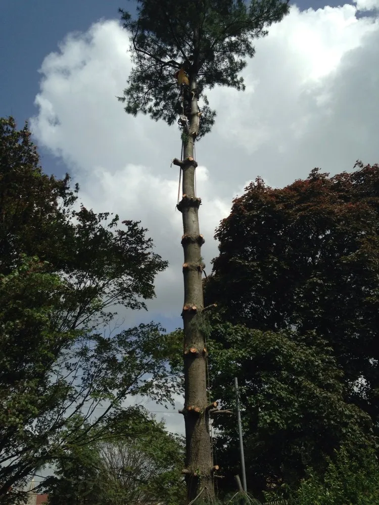 Trusted yard maintenance for residential properties in Warminster, PA by MM Lawn Service and Landscaping