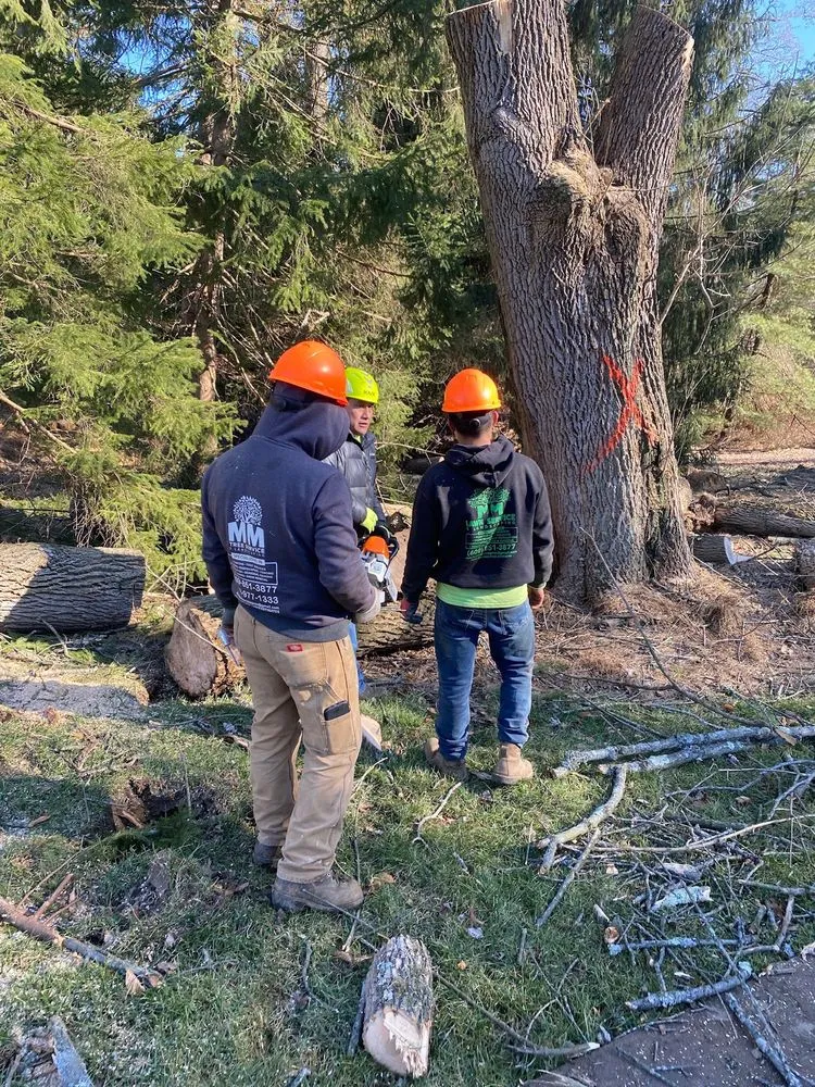 Trusted garden landscaping experts serving Warminster, PA - MM Lawn Service and Landscaping