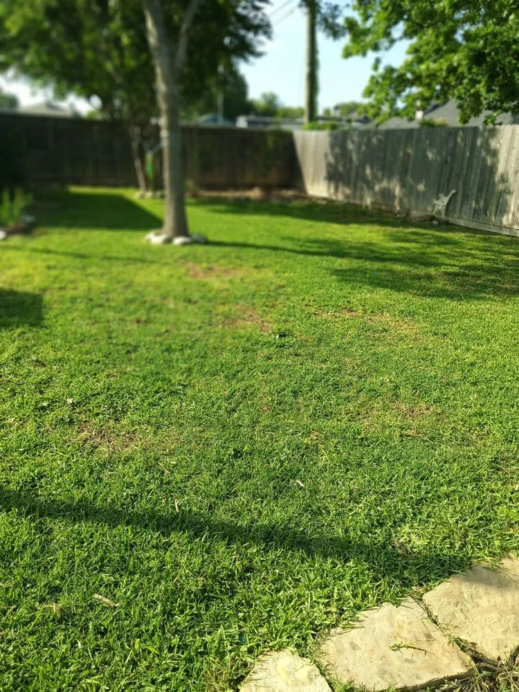 Expert landscape installation in Waco, TX by M&M Lawn Service