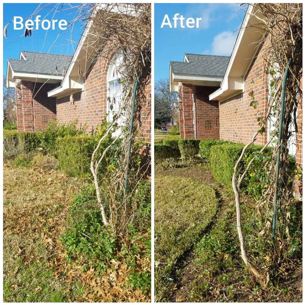 Reliable lawn mowing service in Waco, TX - M&M Lawn Service