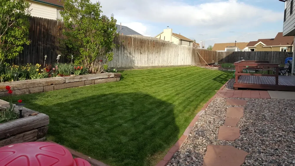 Trusted landscape design in Frederick, CO by M&M Lawn Services