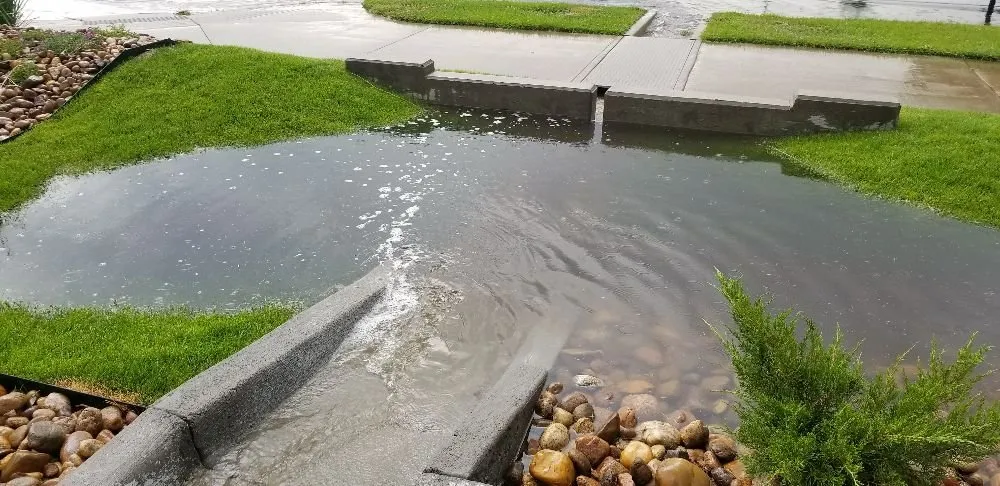 Expert landscaping services in Frederick, CO by M&M Lawn Services