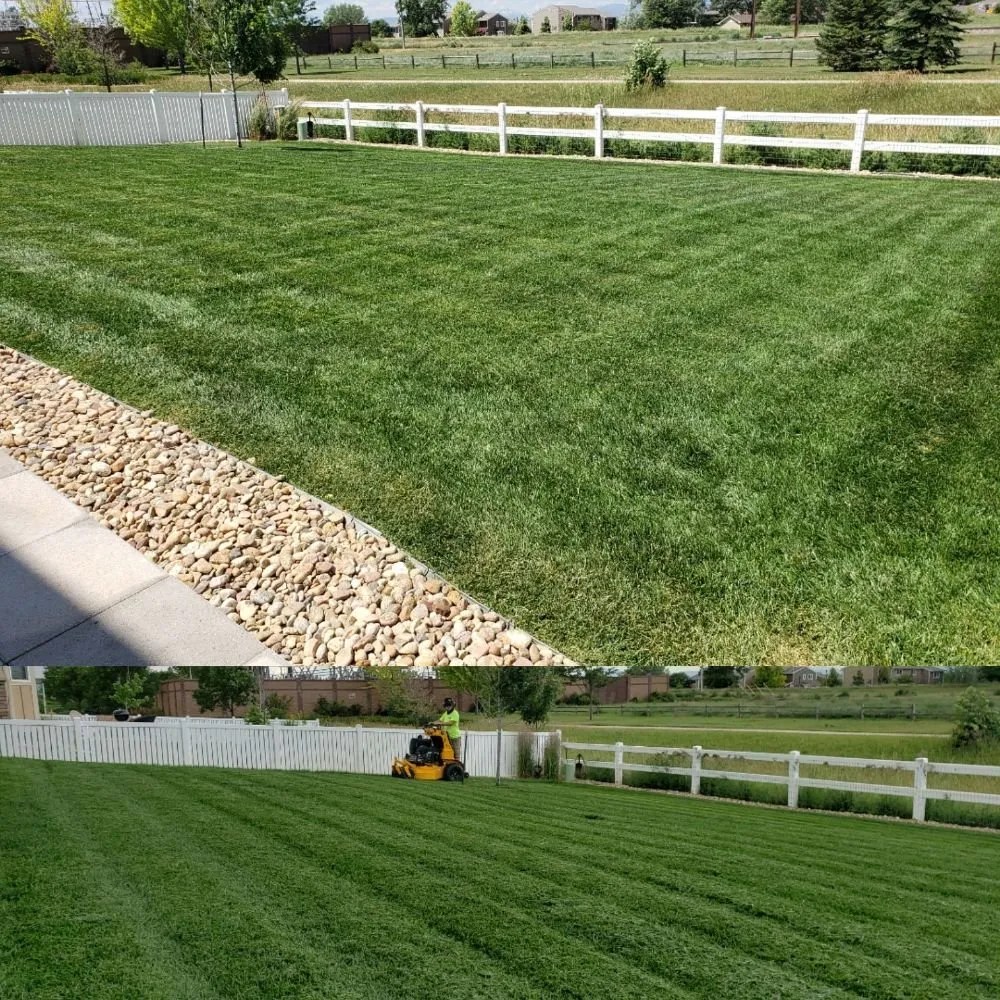 Local yard maintenance in Frederick, CO by M&M Lawn Services
