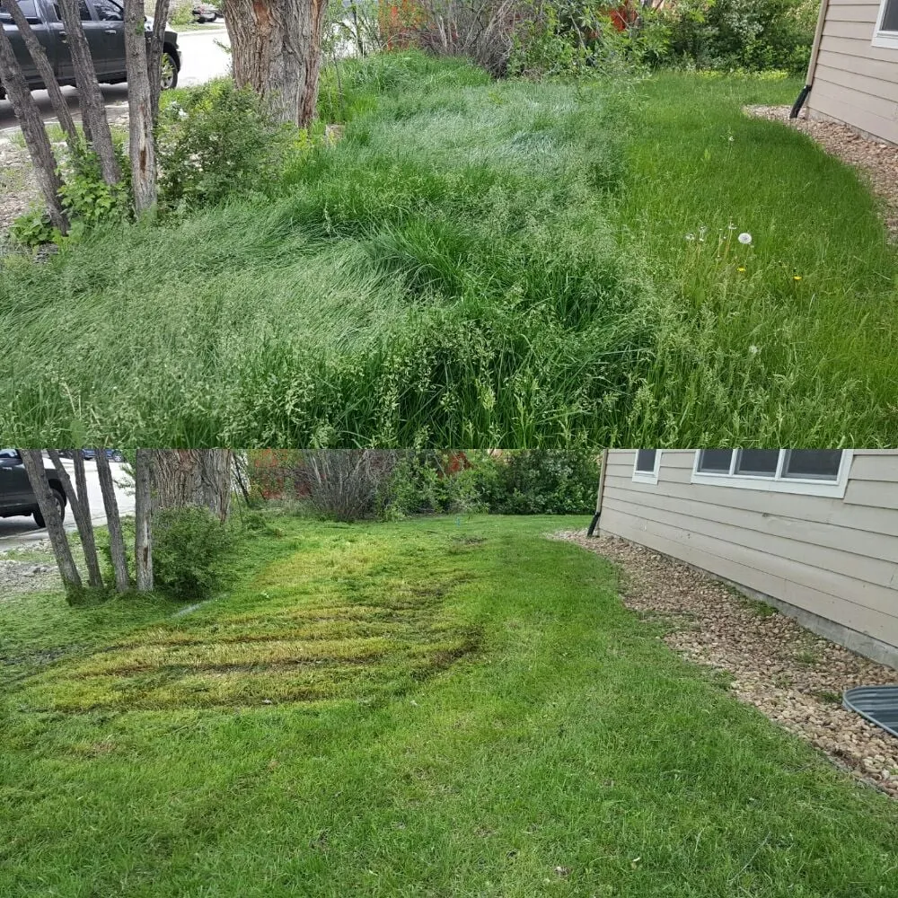 Expert residential landscaping in Frederick, CO - M&M Lawn Services