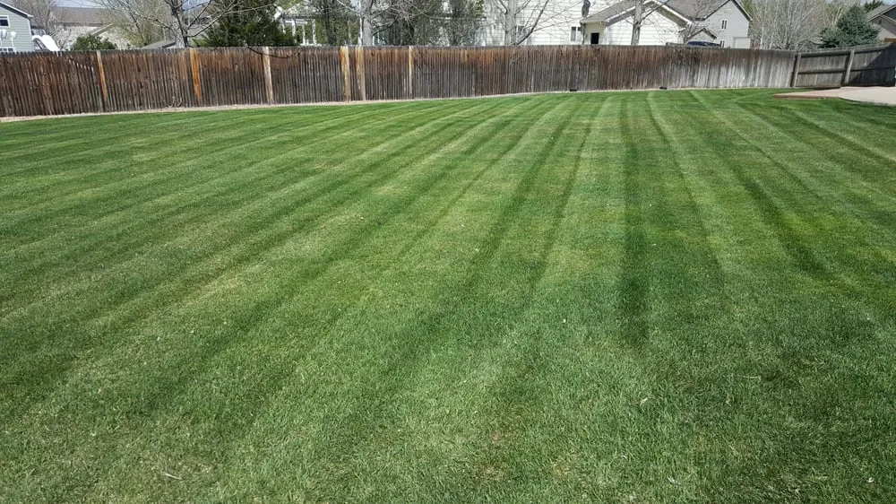 Affordable landscape installation for outdoor upgrades across Frederick, CO - M&M Lawn Services