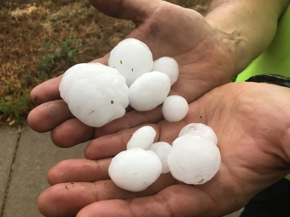 Custom landscape design in Frederick, CO by M&M Lawn Services