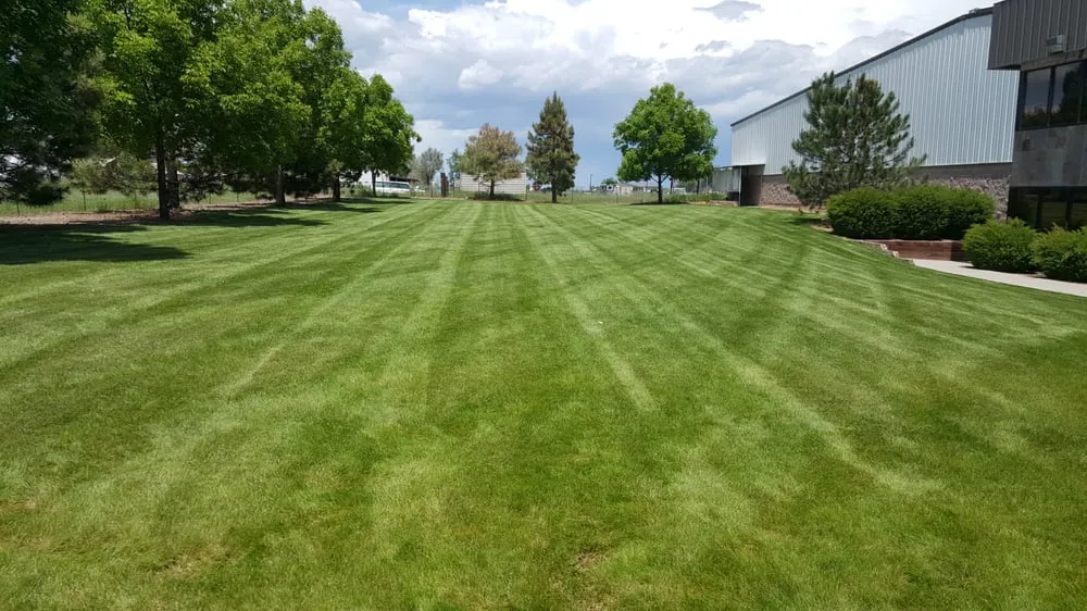 Local landscape installation experts serving Frederick, CO - M&M Lawn Services