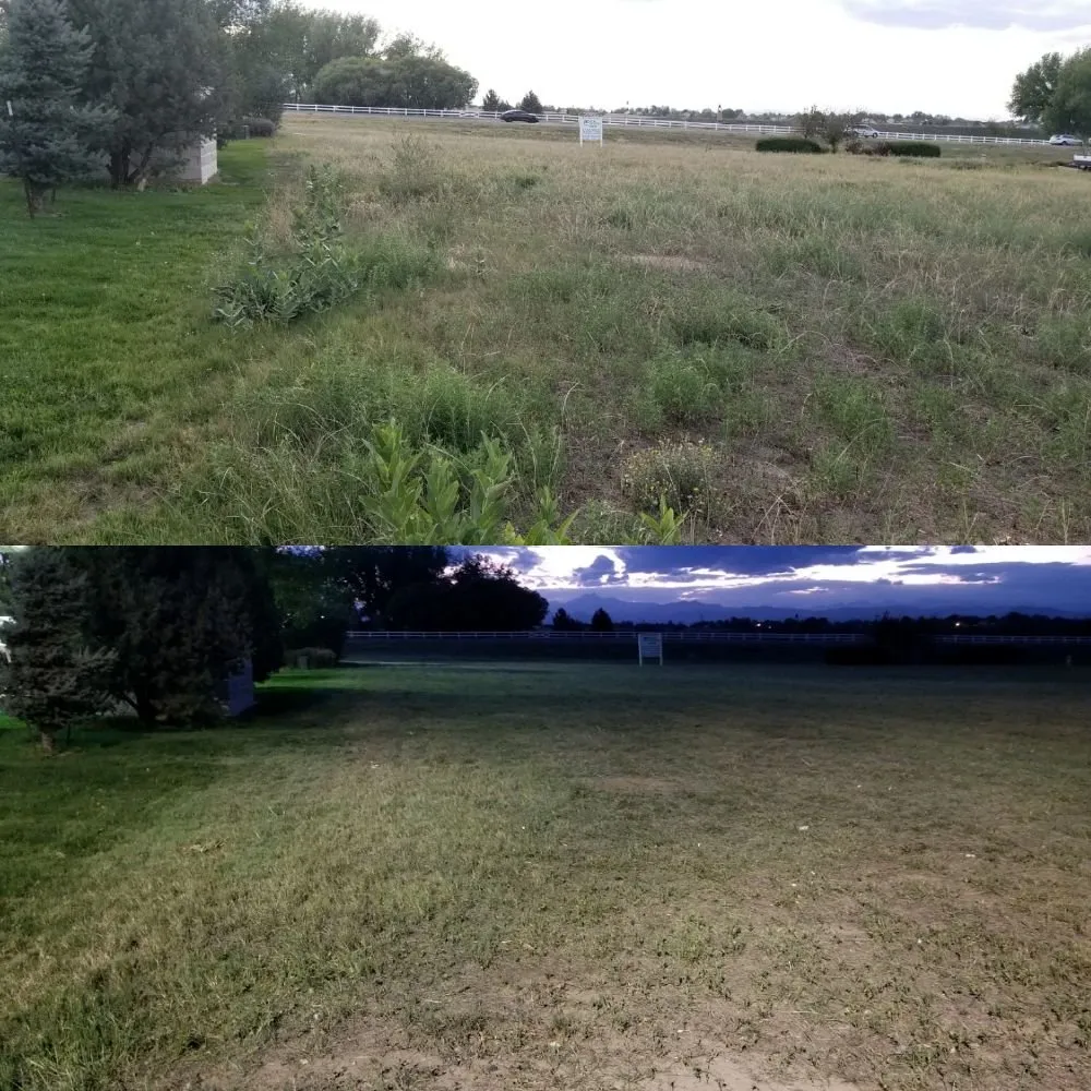 Top-rated lawn care service in Frederick, CO - M&M Lawn Services