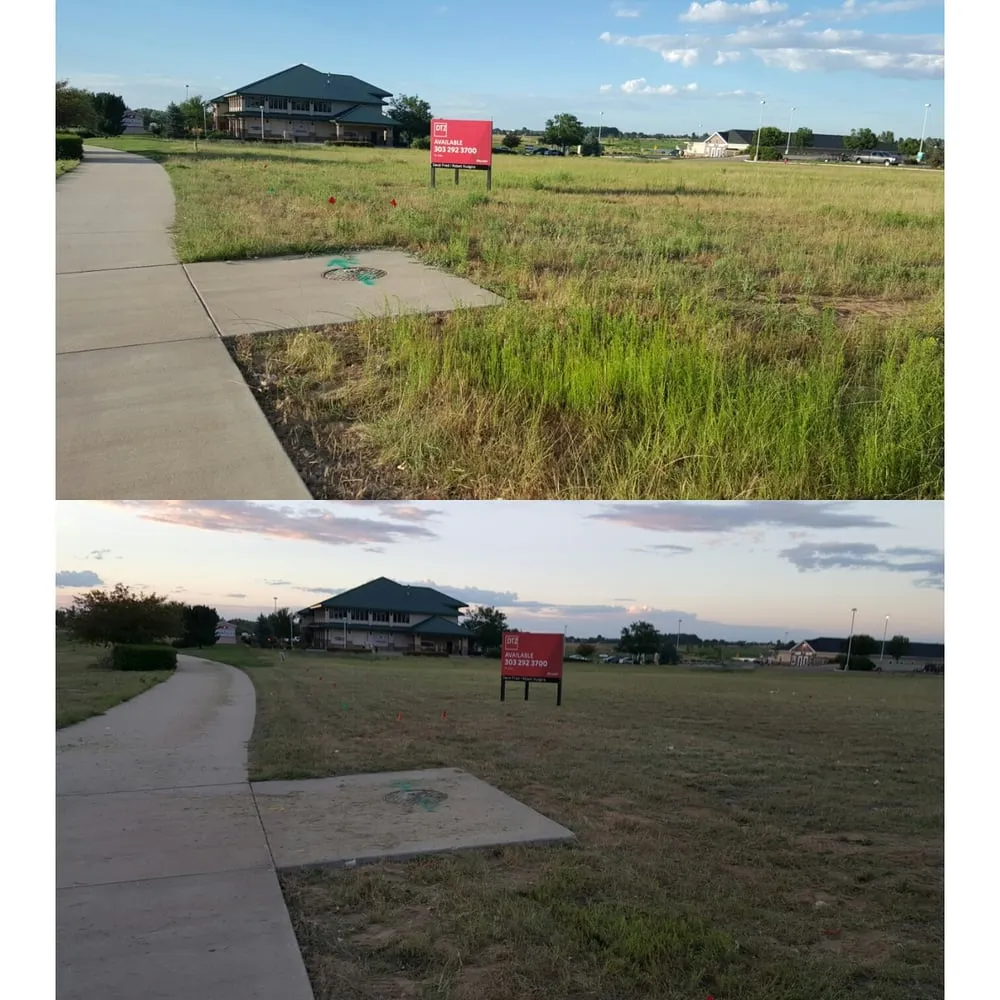 Trusted landscaping services in Frederick, CO - M&M Lawn Services