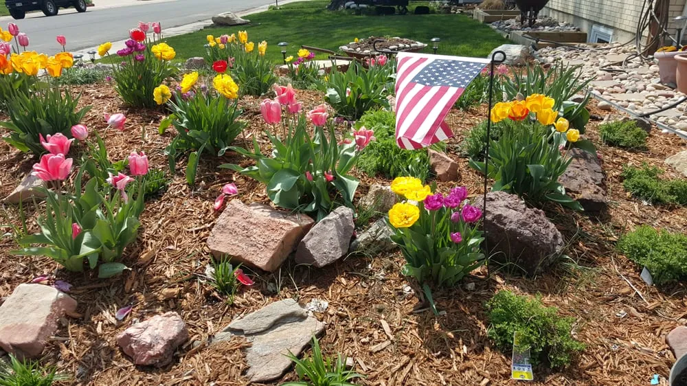 Affordable outdoor landscaping in Frederick, CO - M&M Lawn Services