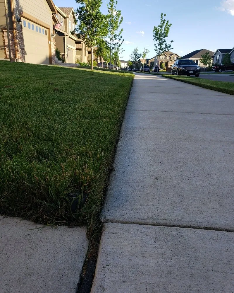 Affordable garden landscaping for year-round maintenance across Frederick, CO - M&M Lawn Services