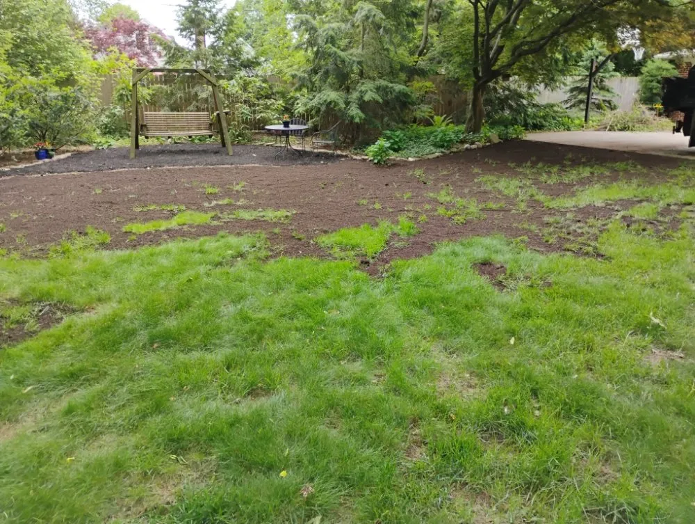 Custom landscaping services for beautiful yards across Springfield, OH - M&M Mini Motors