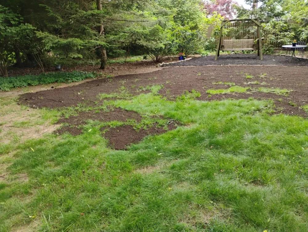 Reliable landscape design for beautiful yards in Springfield, OH by M&M Mini Motors