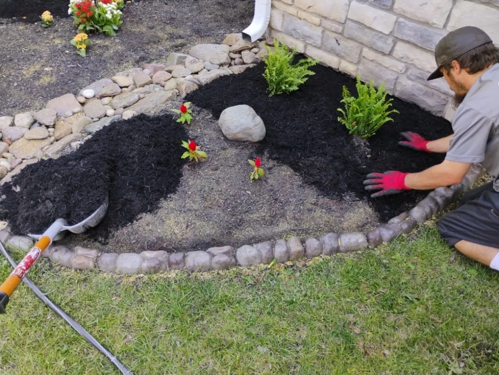 Affordable yard cleanup service in Springfield, OH - M&M Mini Motors