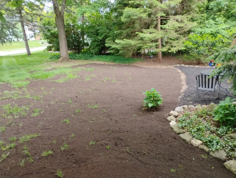 Local landscaping services experts serving Springfield, OH - M&M Mini Motors