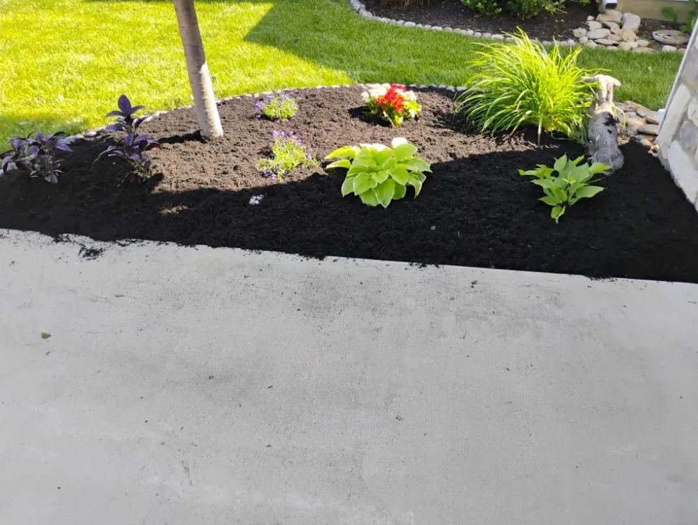 Custom yard maintenance in Springfield, OH by M&M Mini Motors
