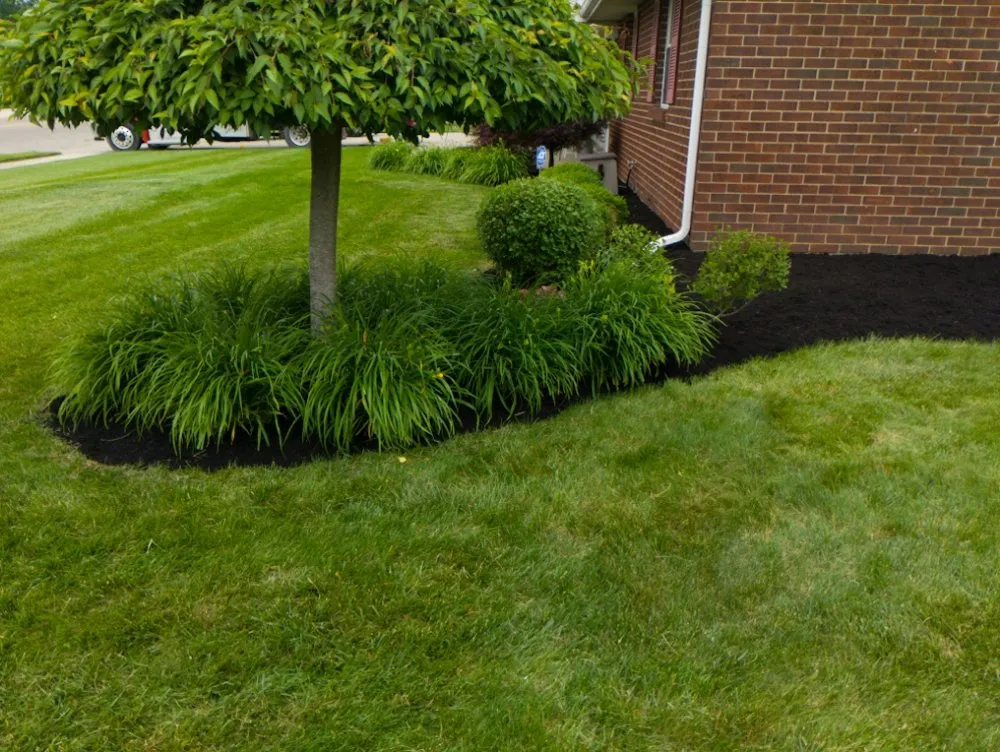 Trusted garden landscaping in Springfield, OH - M&M Mini Motors
