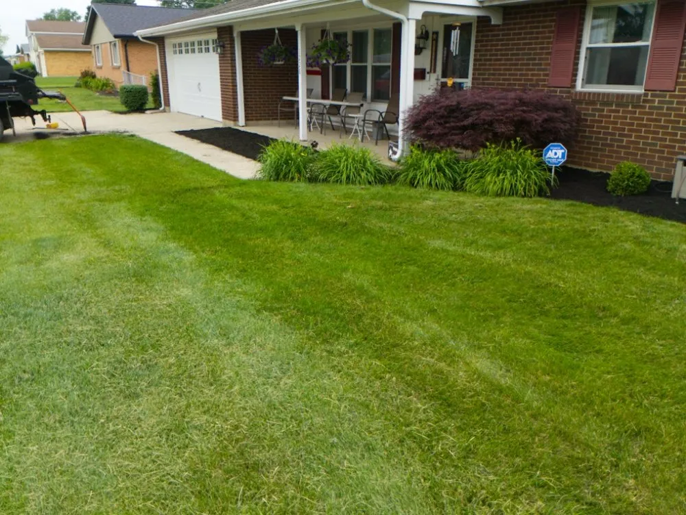 Reliable residential landscaping in Springfield, OH - M&M Mini Motors