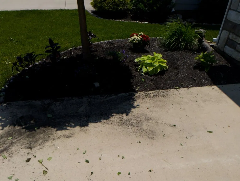 Trusted landscape design in Springfield, OH by M&M Mini Motors