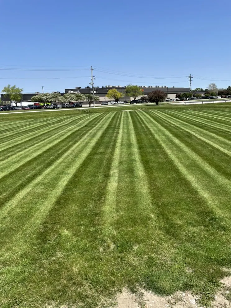 Top-rated landscape installation experts serving Shelbyville, IN - M&M Mowing